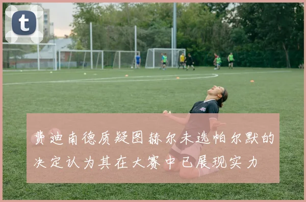 费迪南德质疑图赫尔未选帕尔默的决定认为其在大赛中已展现实力